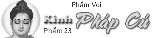 Kinh Phap Cu - pham 23