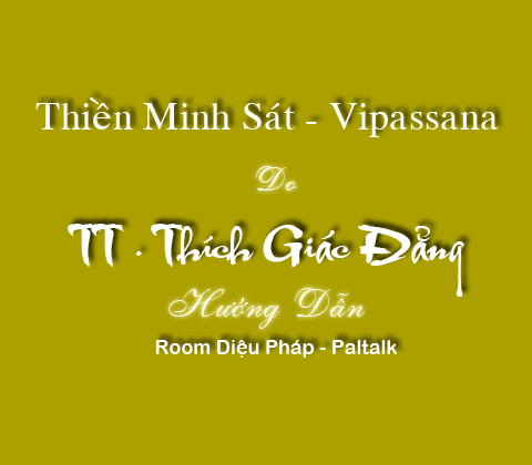 Lớp Thiền Paltalk-Room Diệu Pha'p